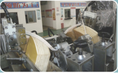 ZCN091DG-2200（1600）四臂全自動數(shù)控定子線圈頂弧漲型機(jī)